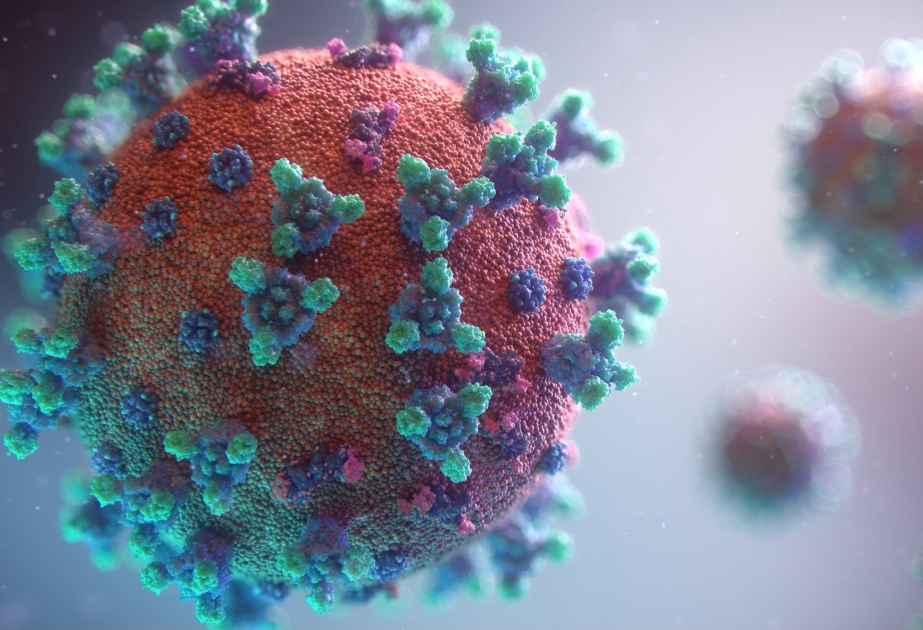 Çin təşvişdə: Kəşfiyyat koronavirusun mənşəyini açıqlamalıdır