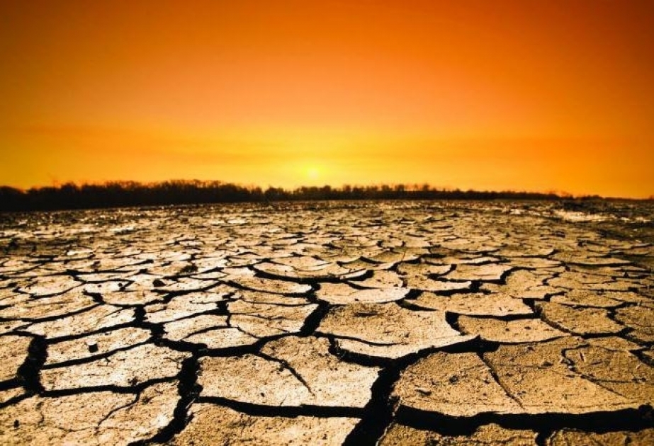 "İqlim dəyişikliyi Yer kürəsini yaşayış üçün yararsız edir" - BMT Baş katibi
