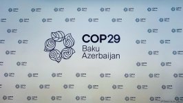 COP29-la bağlı birgə bəyanat yaydılar