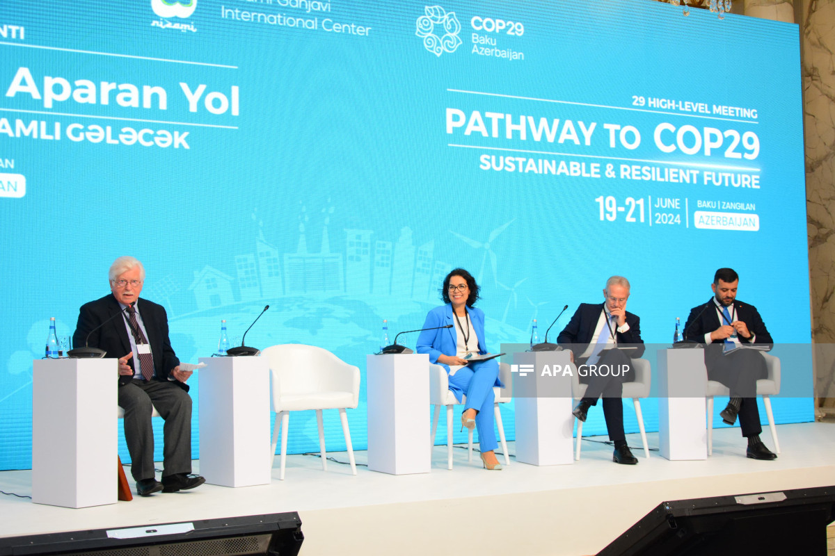 Bakıda COP29-la bağlı panel müzakirəsi keçirilib - FOTOLAR