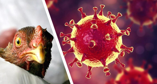 Daha ölümcül olan yeni virus pandemiyası yayılacaq - XƏBƏRDARLIQ