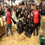 Etirazçı fermerlərdən Parisdə Makrona “sürpriz” - VİDEO