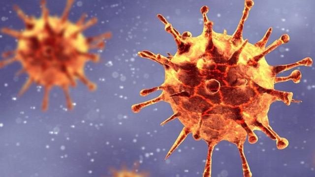 Azərbaycanda koronavirus bitib