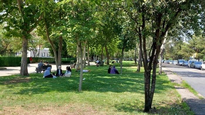 Parkda istirahət edən müəllimin başından güllə ilə vurdular