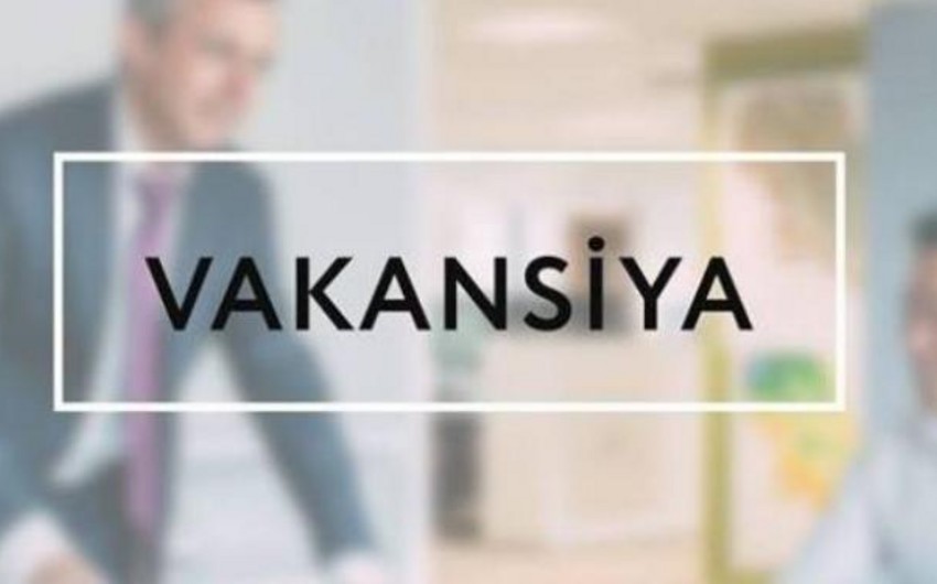 Müəllimlərin işə qəbulu üzrə vakansiya seçiminin vaxtı açıqlanıb