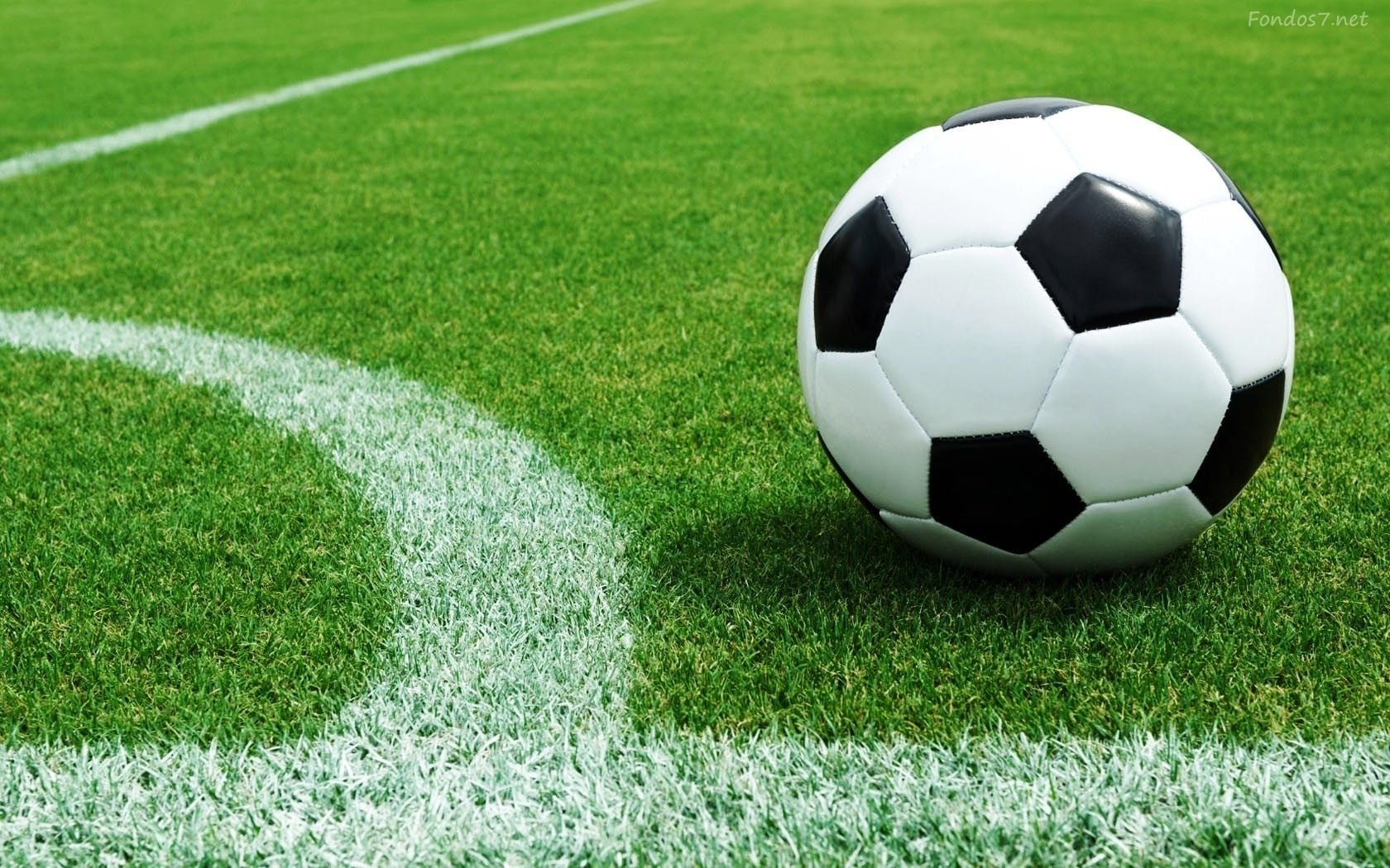 Məşhur astroloq: "Futbolla bağlı dəqiq proqnoz vermək olar"