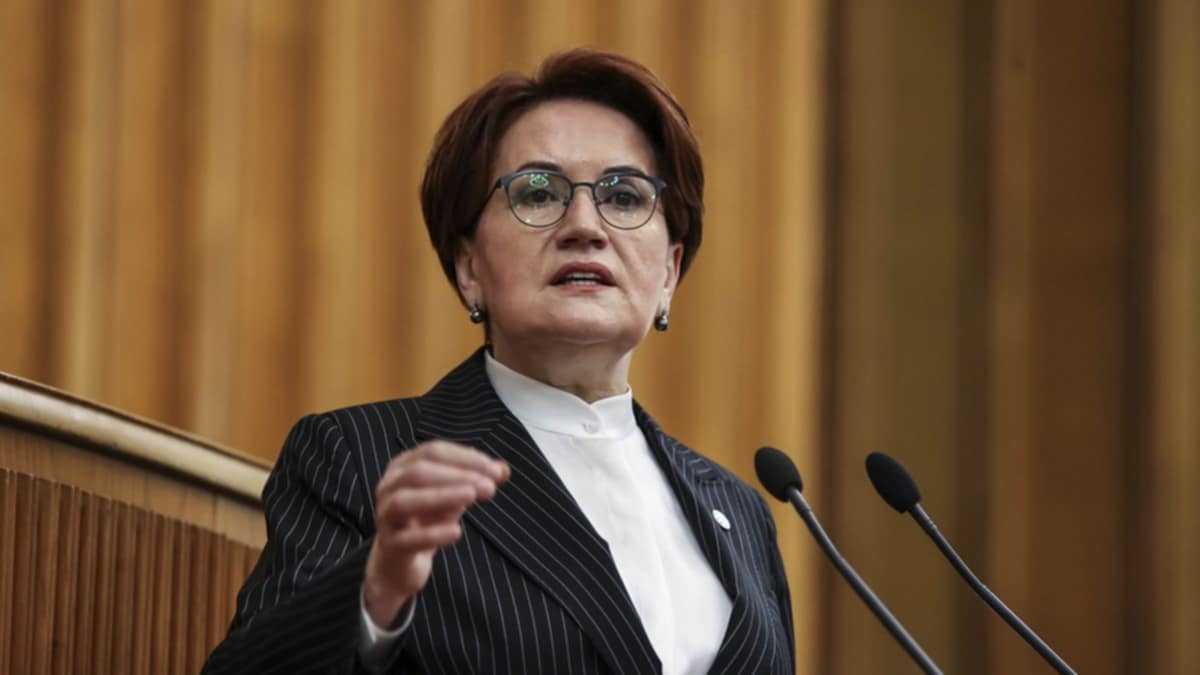 Siyasətdən gedən Meral Akşenerin son halı - FOTO
