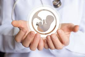 Abort qadağan ediləcək: Tarix verildi