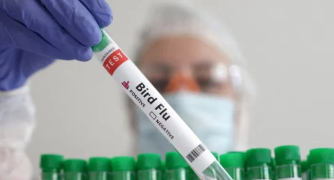 Virus insanlara keçə bilər- BÖYÜK TƏHLÜKƏ