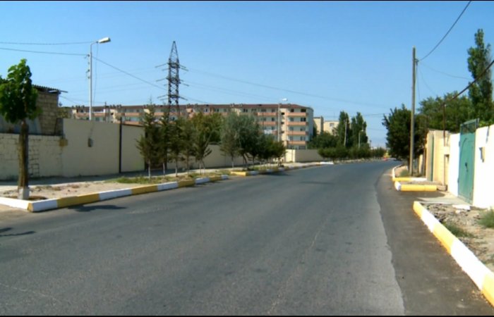 Ağacların kəsilməsini Baş Prokurorluq araşdıracaq