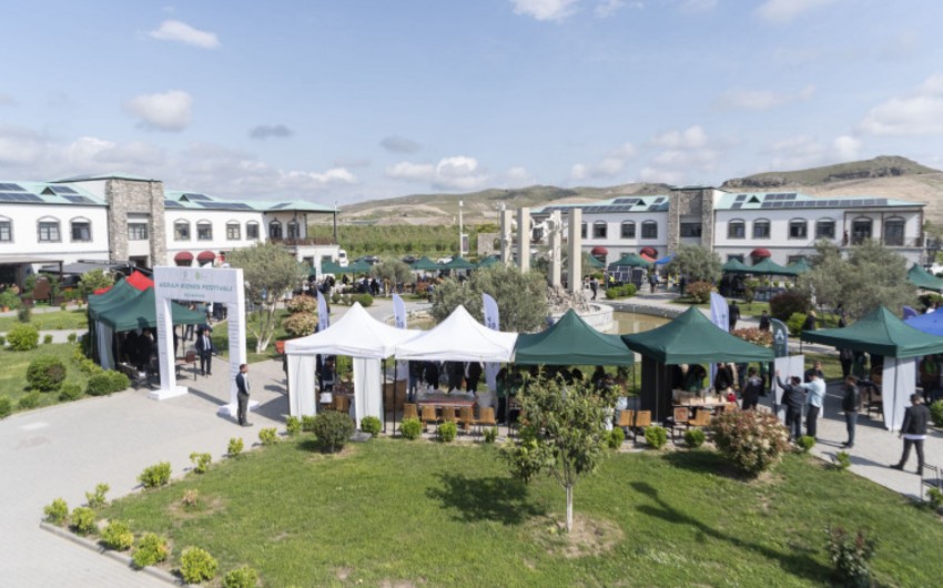 Ağalıda Aqrar Biznes Festivalı keçirilib - FOTOLAR