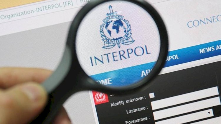 İnsan alverinə görə 11 nəfər İnterpol xətti ilə axtarışa verilib