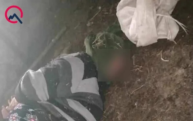 74 yaşlı qadının əl-ayağını bağlayıb başına kisə keçirdilər-Pullarını da oğurladılar