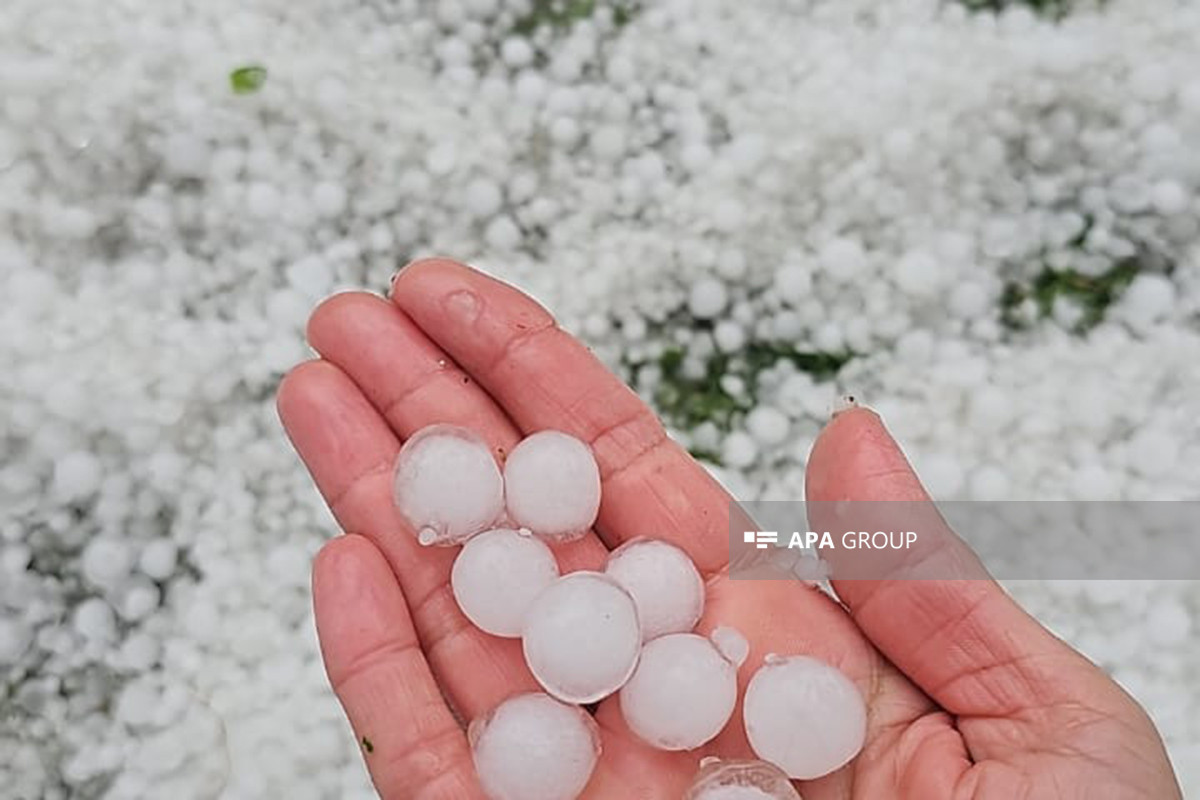 Zaqatalaya dolu yağıb - FOTO