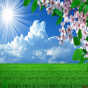 Sabah 28 dərəcə isti olacaq