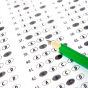 Qiymətləndiricilər üçün test imtahanı keçiriləcək