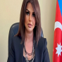 İşdən çıxarılan direktorun başqa vəzifəsi var imiş
