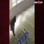 Bu ölkədə qan donduran vəhşilik