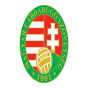 UEFA Macarıstan Futbol Federasiyasını cərimələyib