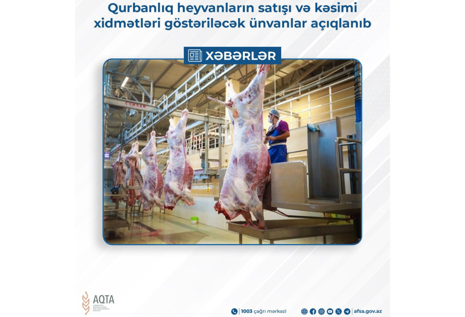 Qurbanlıq heyvanlar burada satılacaq: ÜNVANLAR