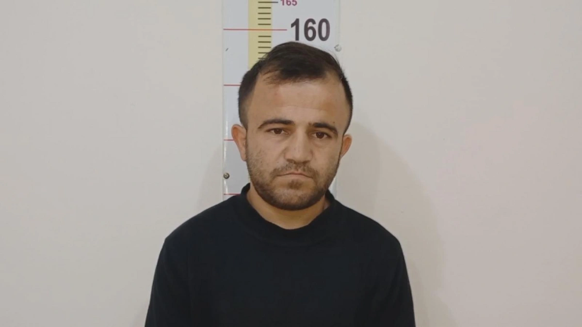 Zaqatalada 27 baş qoyun oğurlayan şəxs saxlanılıb