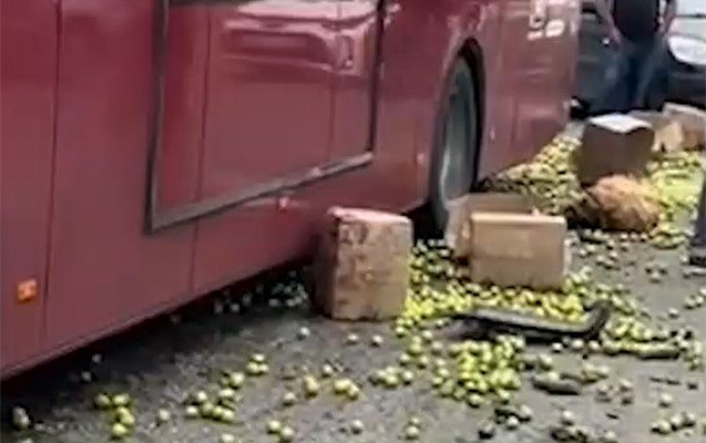 “BakuBus”un avtobusu “Ford”la toqquşdu: Meyvələr yola dağıldı - VİDEO