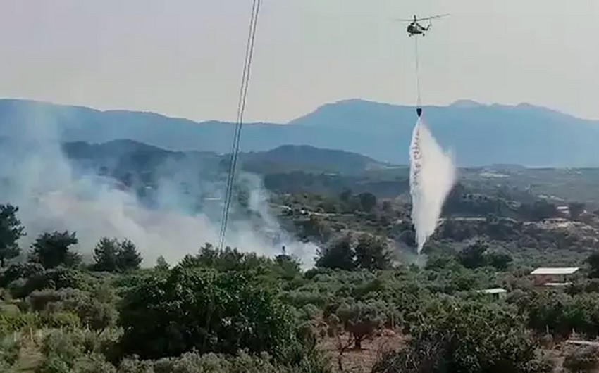 Türkiyədə 300 hektar ərazi yanıb