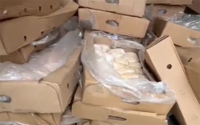 600 kq yararsız toyuq əti aşkarlandı - VİDEO