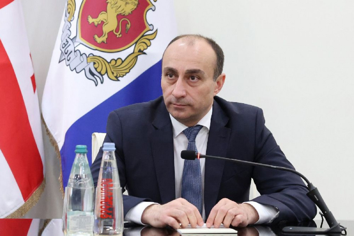 Gürcüstanın daxili işlər naziri Azərbaycana gəlib