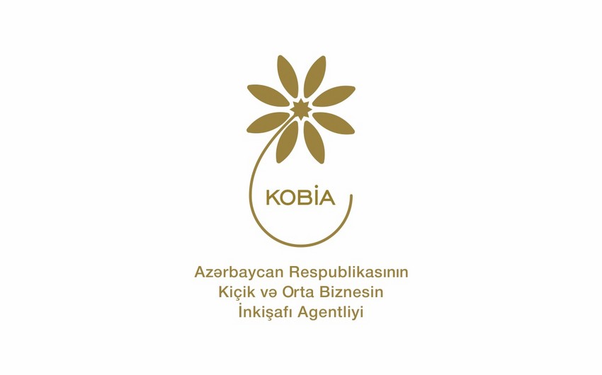 KOBİA auditor seçib