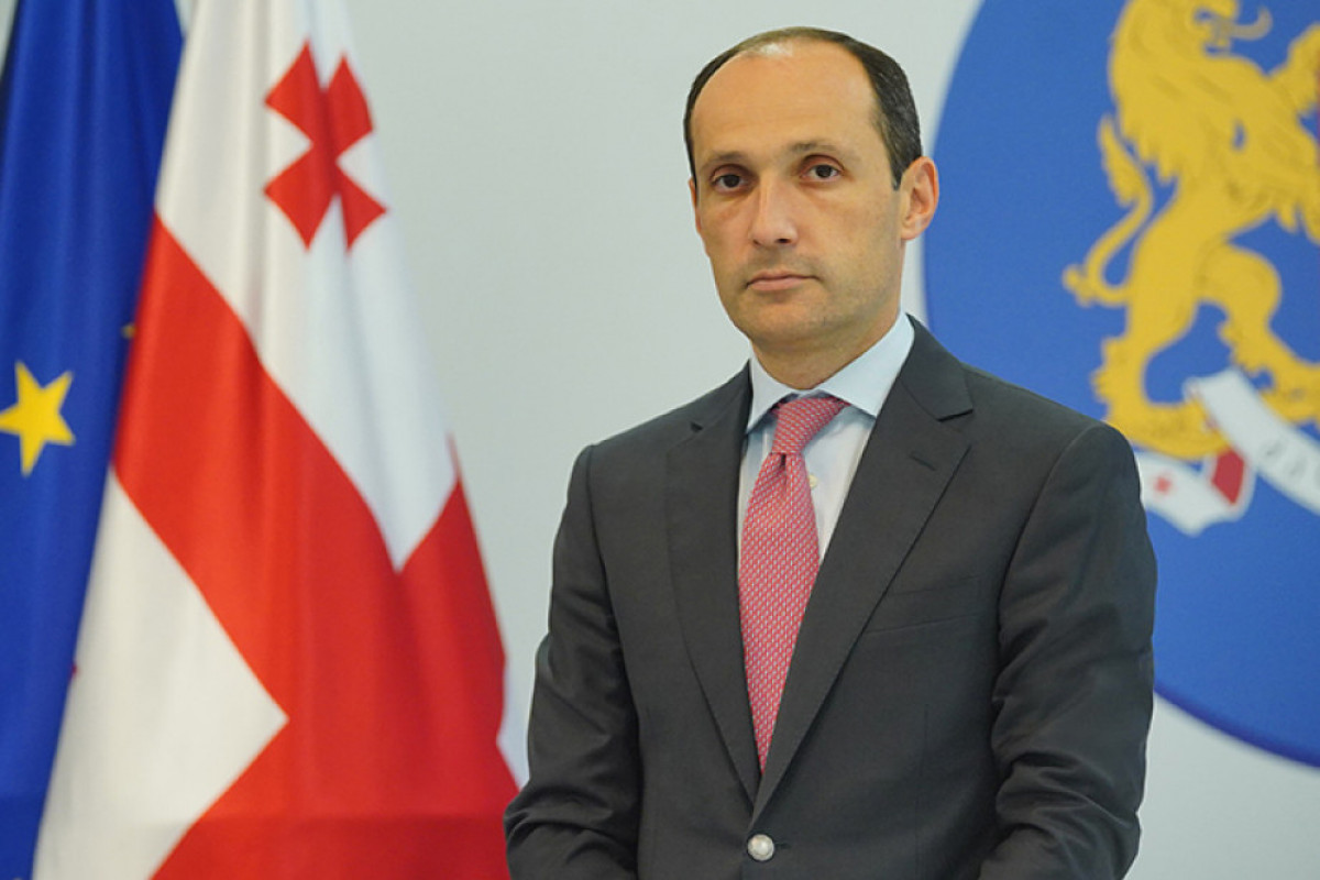 Gürcüstanın iqtisadiyyat naziri istefa verib