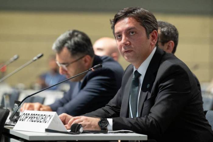 Yalçın Rəfiyev UNFCCC Köməkçi Orqanlarının 62-ci sessiyasında iştirak edib