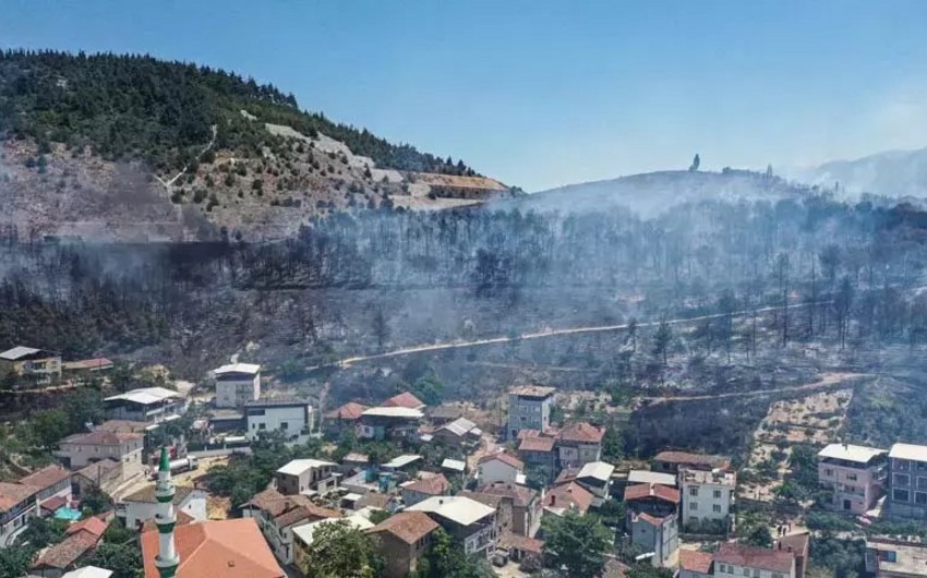 Türkiyədə güclü yanğın olub