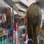 Fil marketə girdi, yedi, getdi...