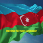 Dövlət dilimiz təhlükədə: Lövhələrdə və vitrinlərdə Azərbaycan dili haradadır?