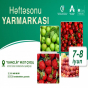 “Kənddən Şəhərə” həftəsonu yarmarkası təşkil olunacaq
