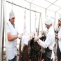 Heyvan kəsimi ilə bağlı xoşagəlməz hal olarsa bu nömrəyə zəng edin