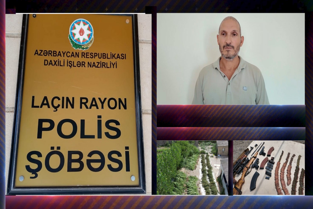 300-ə yaxın çətənə bitkisi aşkarlandı