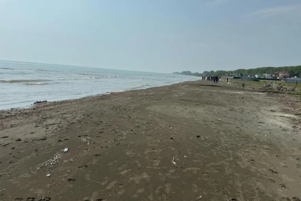 Buzovnada özbaşına tikinti aparan şəxs barəsində inzibati tədbir görülüb