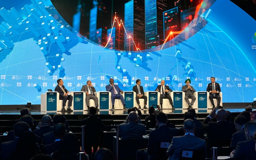 Pərviz Şahbazov Vyanada OPEC Beynəlxalq Seminarında iştirak edib