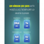 229 mindən çox şəxs aktiv məşğulluq tədbirləri ilə əhatə olunub