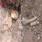 Laçında insan sümüklərinə bənzər skelet qalıqları tapıldı - FOTOLAR