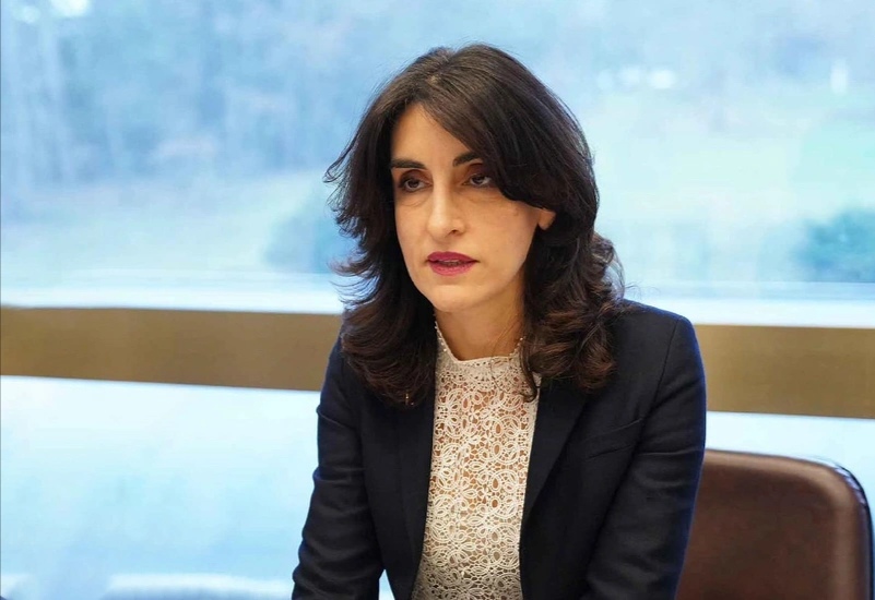 Boçorişvili: "Gürcüstana yönəlmiş tənqid əsassızdır"