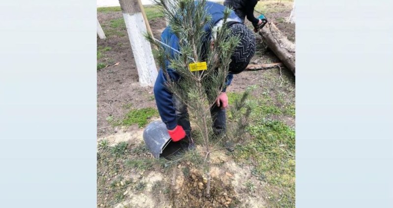 Elmi Cərrahiyyə Mərkəzi yayılan iddialara aydınlıq gətirdi
