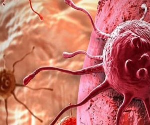 Onlar 500, insan tək: Hər addımda “hücuma” məruz qalırıq