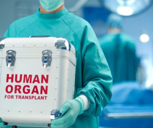 Baş nazirdən sümük iliyi transplantasiyası ilə bağlı qərar