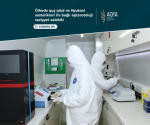 Quş qripi xəstəliyinə qarşı keçirilən monitorinqlərin nəticələri açıqlan