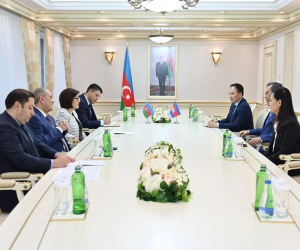 Sahibə Qafarova Kamboca Senatının sədr müavini ilə əməkdaşlığı müzakirə edib