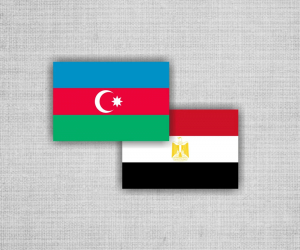 Azərbaycan Misirin "ağıllı şəhər"lərin yaradılması təcrübəsində maraqlıdır