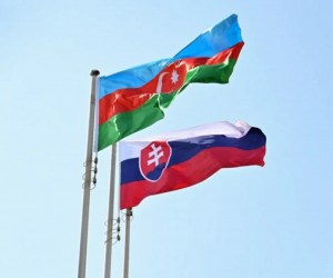 Slovakiya Milli Qurtuluş Günü münasibətilə Azərbaycanı təbrik edib